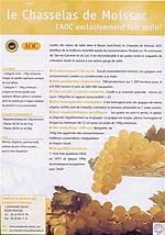 Le Chasselas de Moissac