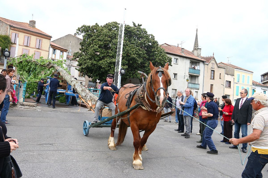 Fêtes de Pentecôte 2015 Ville de Moissac